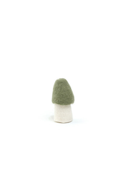 MOREL