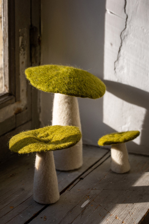 CHAMPIGNON - Dernière chance