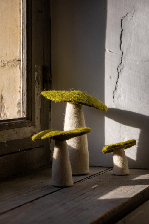 MUSHROOM - Last chance