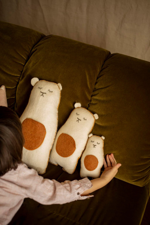 COUSSIN PASU GRIZZLY
