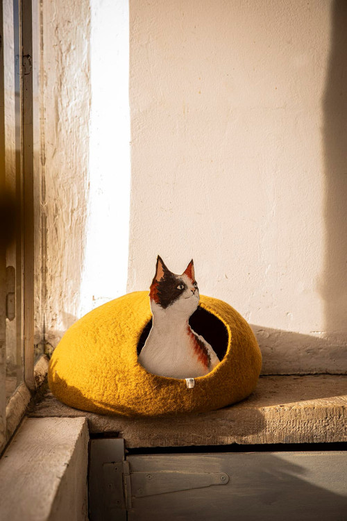 CAT BASKET