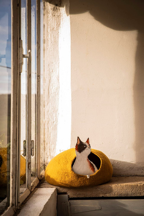 KATZENKORB