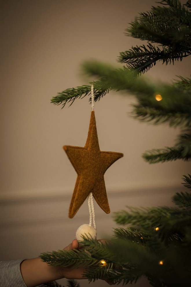 POMPON STER HANGING LAMP