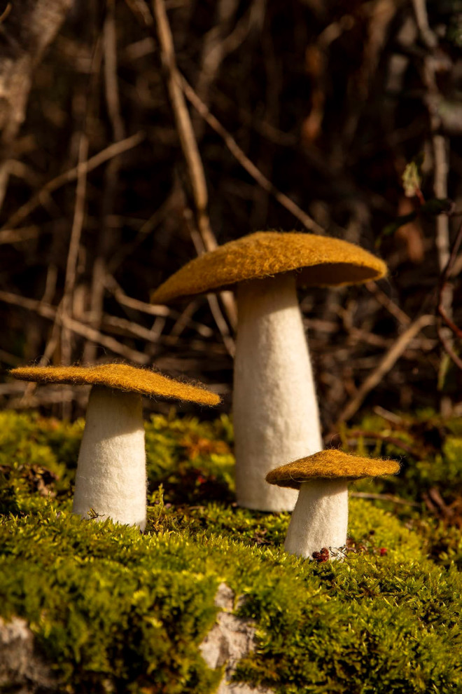 PILZ