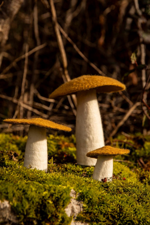 PILZ