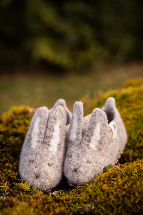 Konijnen Pantoffels