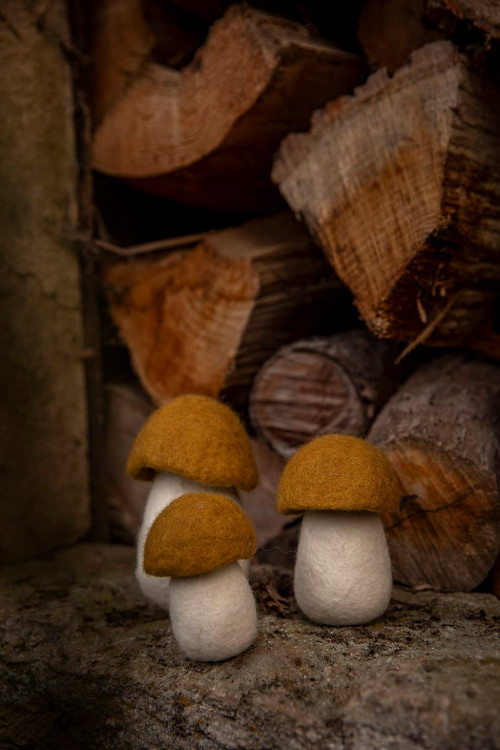 BOLETE