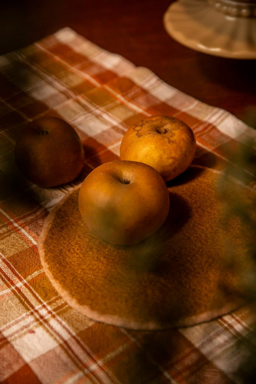 TWO-TONE FELT TRIVET