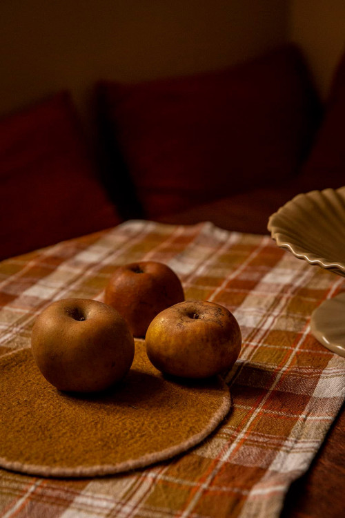 BICOLOR PANNENONDERZETTER