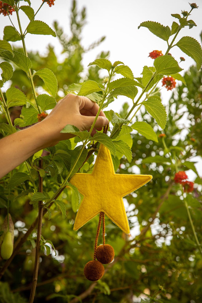 POMPOMS STAR HANGING - Last...