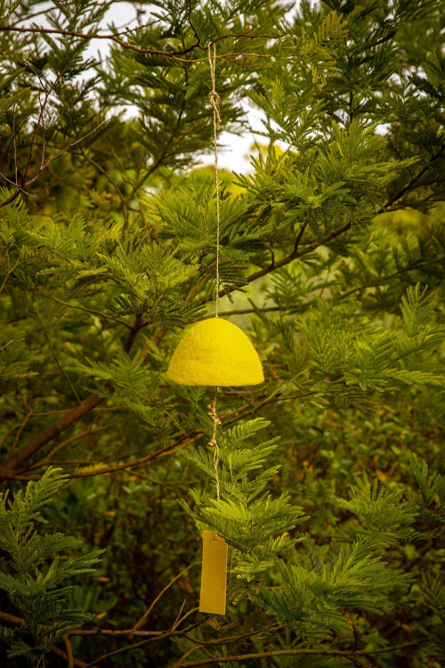 RUSTIC BELL - Last chance