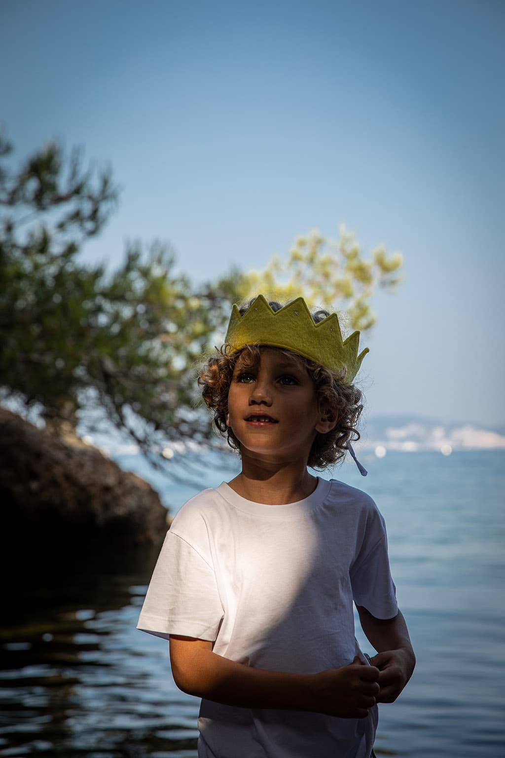 RANI CROWN - Last chance