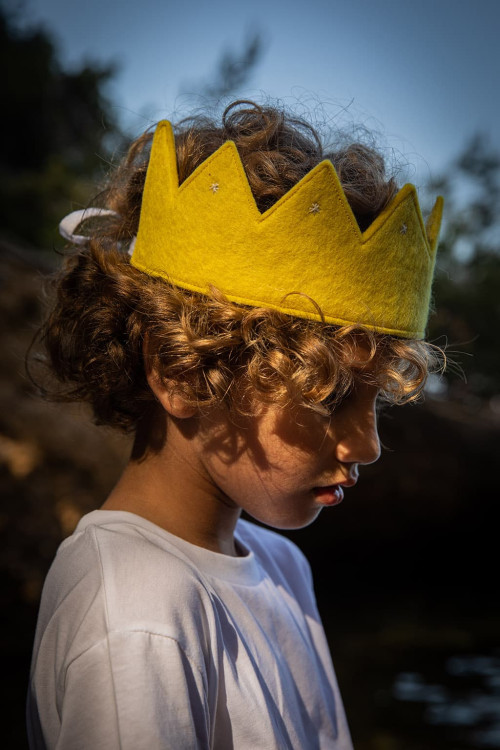 RANI CROWN - Last chance