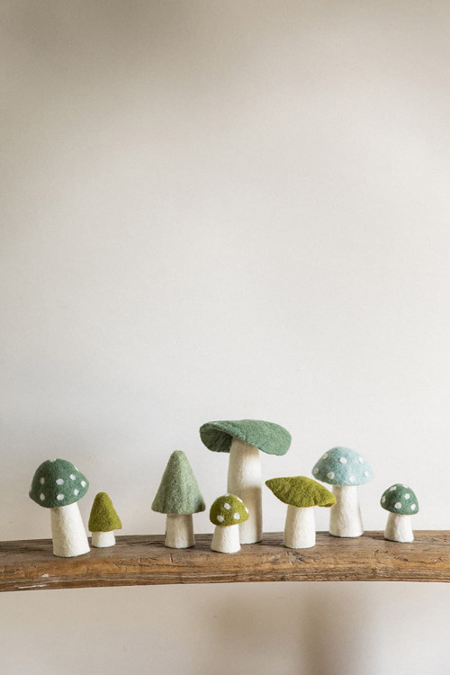 MOREL