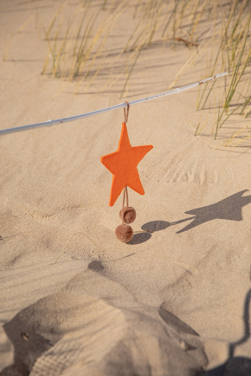 POMPOMS STAR HANGING