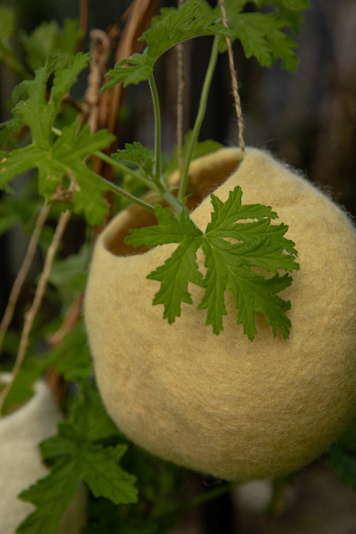HANGING NEST BOWL