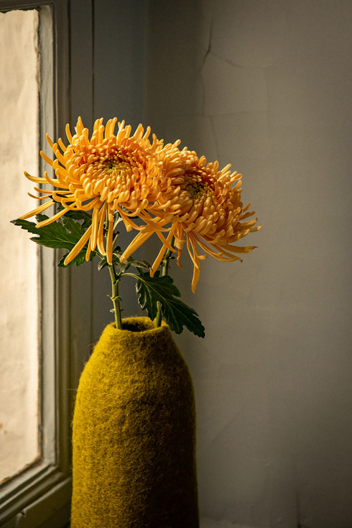 CACHE-VASE CLOCHE UNI
