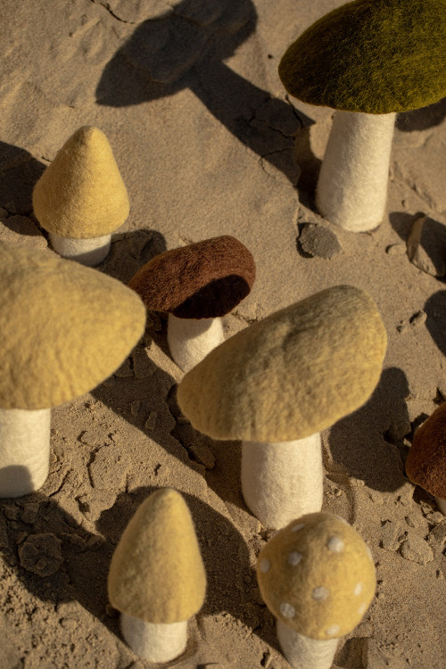 MUSHROOM