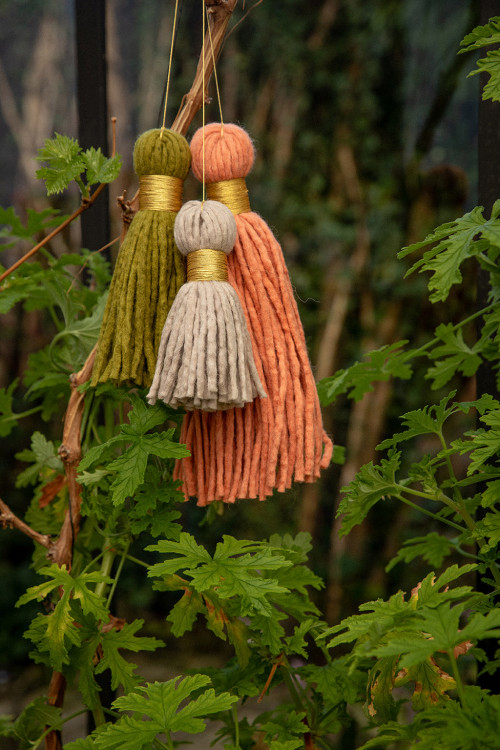 POMPOM