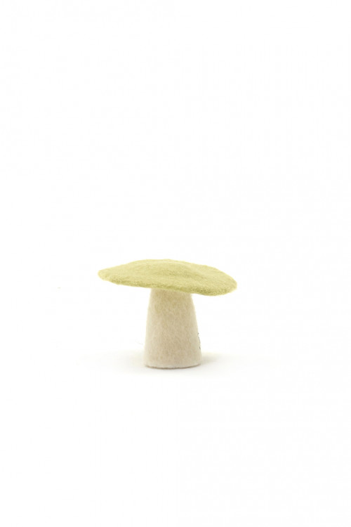 MUSHROOM - Last chance