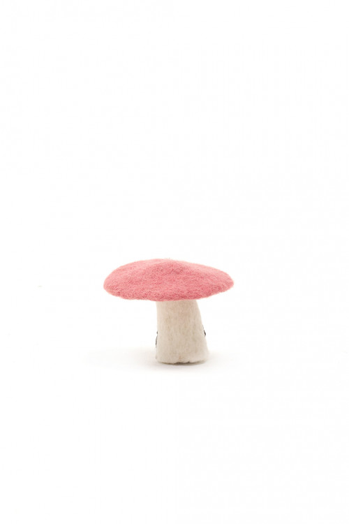 CHAMPIGNON - Dernière chance