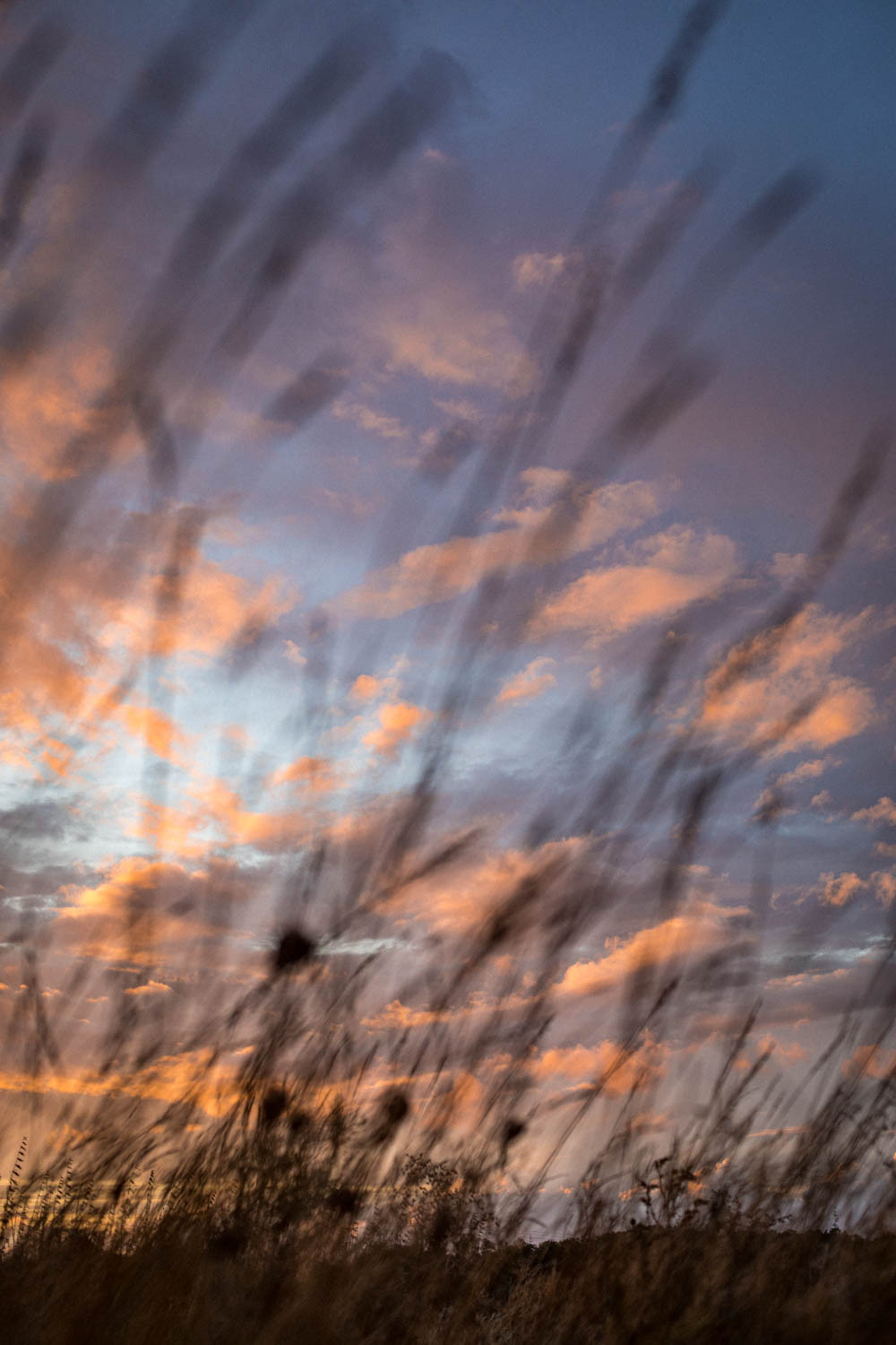 COUCHER DE SOLEIL