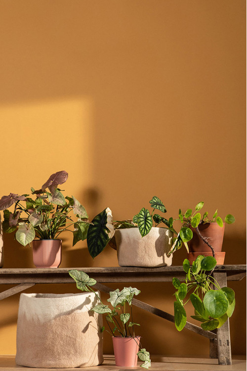 two-tone felt pot covers to decorate your home two-tone felt pot covers to decorate your home