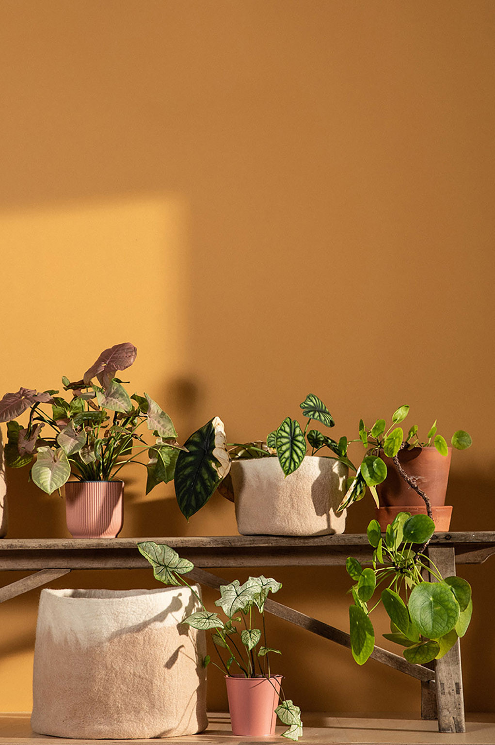 two-tone felt pot covers to decorate your home