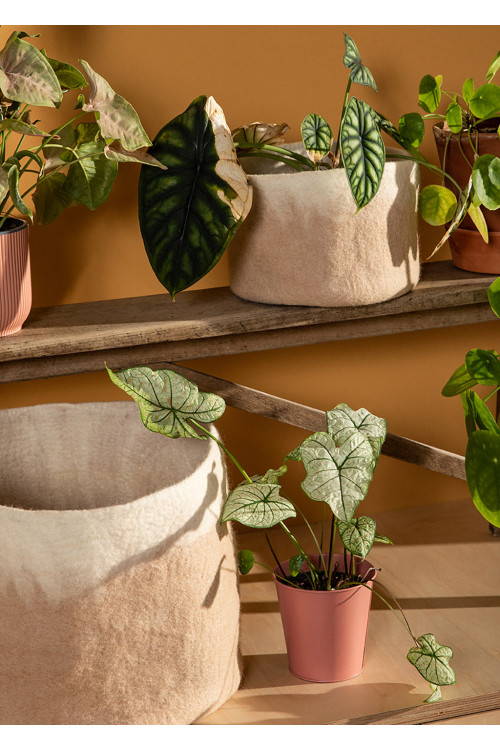 des paniers de rangement utilisés comme cache pot pour un intérieur feutré
