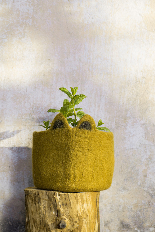 a green plant with a cat-eared pot holder