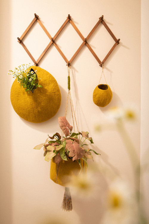 flowers decorate an entrance with original boiled wool storage