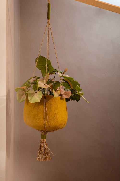 a hanging basket with a green plant for an elegant atmosphere