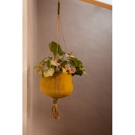 a hanging basket with a green plant for an elegant atmosphere