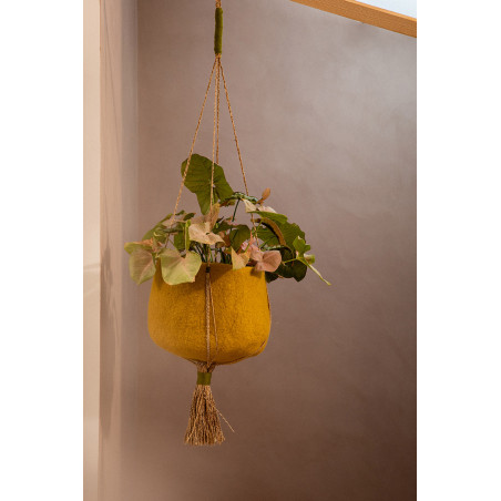 un panier suspendu garni d'une plante vert pour une ambiance élégante