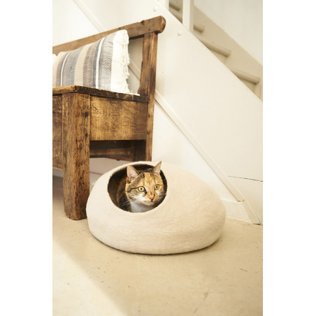 a cat takes its head out of its boiled wool basket