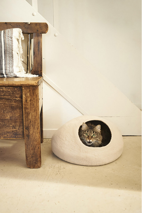 a decorative cat basket installed on a hallway floor a decorative cat basket installed on a hallway floor