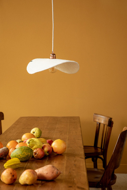 A white ceiling light above the dining room table A white ceiling light above the dining room table