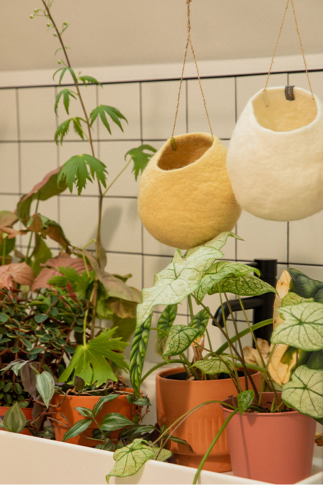 HANGING NEST BOWL