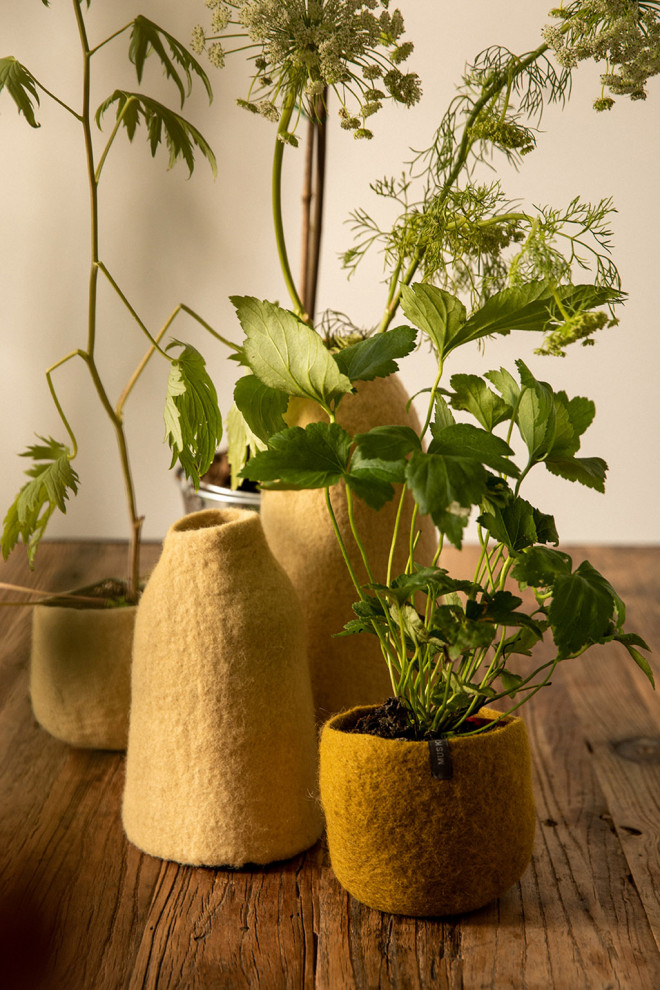 CACHE-VASE CLOCHE UNI