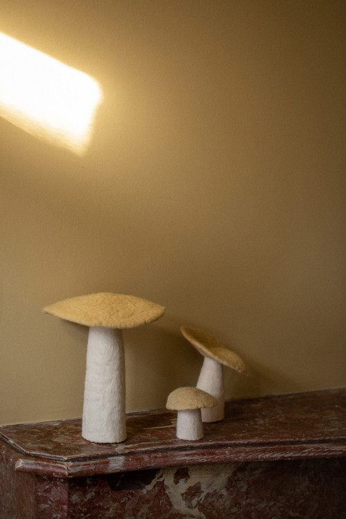 3 assorted mushrooms for a poetic decoration 3 assorted mushrooms for a poetic decoration