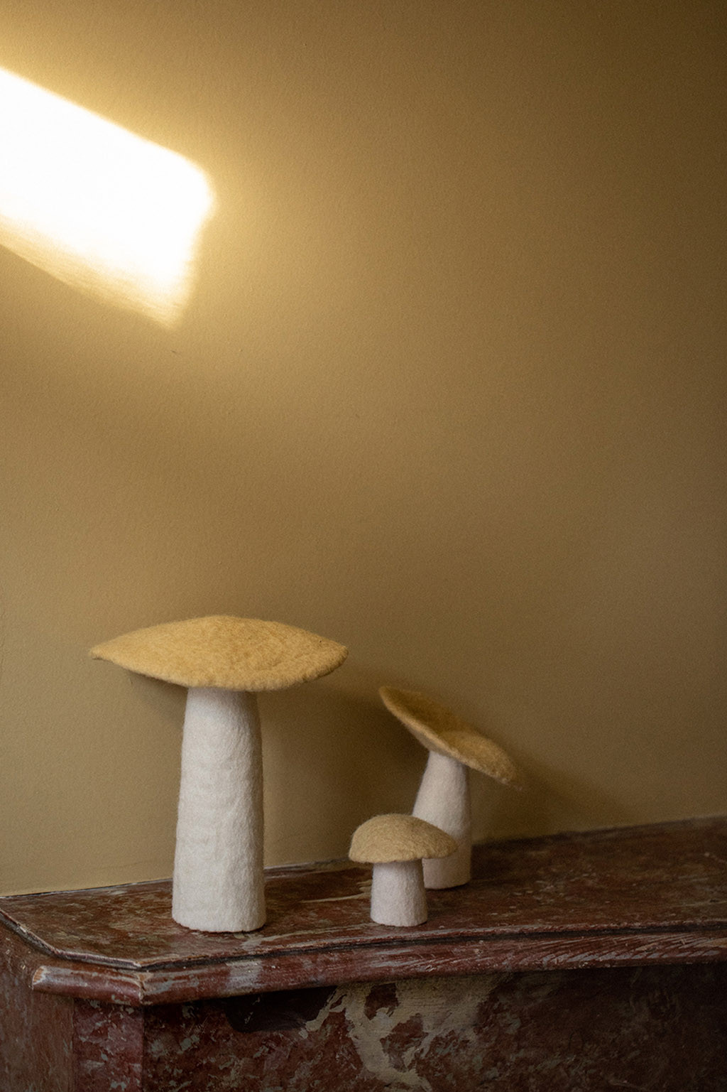 3 champignons assortis pour une décoration poétique