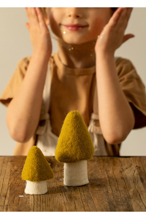 de la poésie dans sa maison grâce à des morilles en feutre naturel