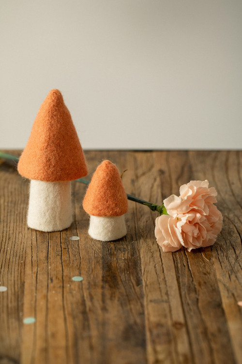 2 pink morels in feure accompany a flower for a poetic decoration