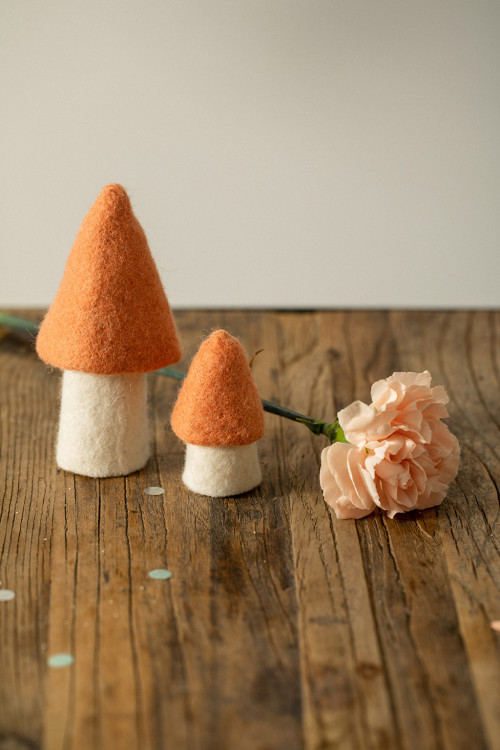 2 pink morels in feure accompany a flower for a poetic decoration 2 pink morels in feure accompany a flower for a poetic decoration