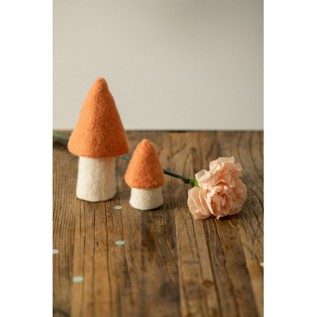 2 pink morels in feure accompany a flower for a poetic decoration