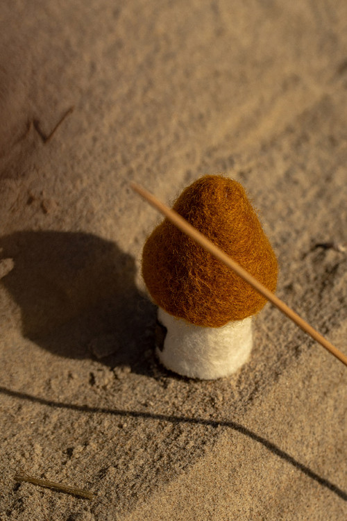 a small ochre morel as a playful decoration object