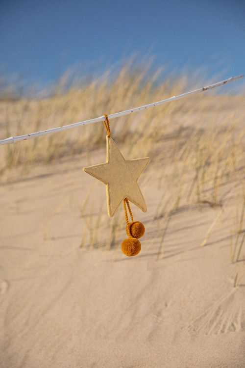 a wheat yellow felt star with pollen pompons for a colorful touch