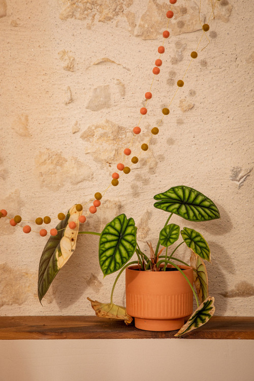 a simple and joyful decoration thanks to the felt pompoms hanging on the wall