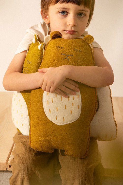 Un enfant serre dans ses bras des coussins grizzly Un enfant serre dans ses bras des coussins grizzly