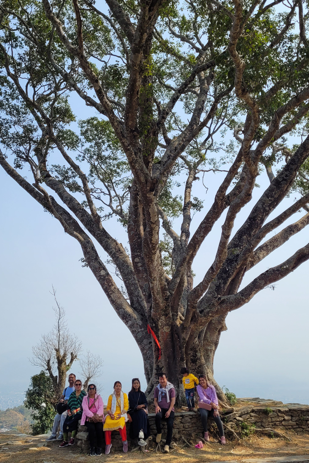 L'équipe MUSKHANE posant en dessous d'un arbre